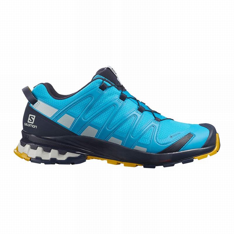 Salomon Israel XA PRO 3D V8 GORE-TEX - Mens Trail Running Shoes - Blue (YSEN-61370)